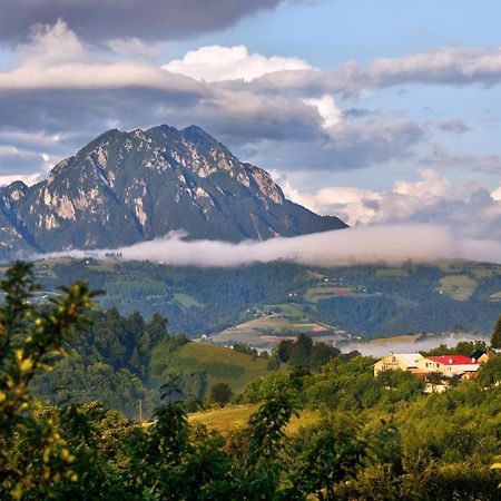 Casa Cristalul Muntilor Hotel Poiana Marului  Bagian luar foto