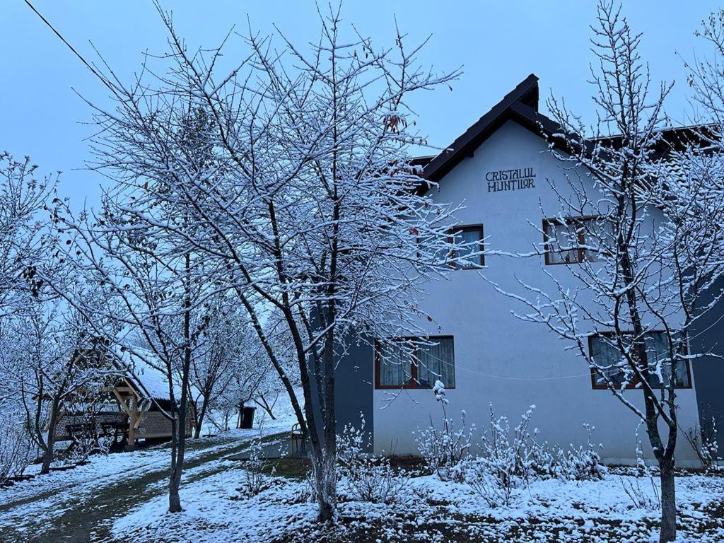 Casa Cristalul Muntilor Hotel Poiana Marului  Bagian luar foto